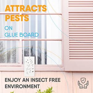 Flyweb Fly Light Glue Boards 1 Pack of 10 Replacement Glue boards for Gardner Flyweb Classic Fly Light and Flyweb Plus - Trap Fruit Flies, Mosquitoes, bugs and other Flying Insects