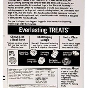 Everlasting Treat For Dogs, Natural Hickory Smoke, Medium