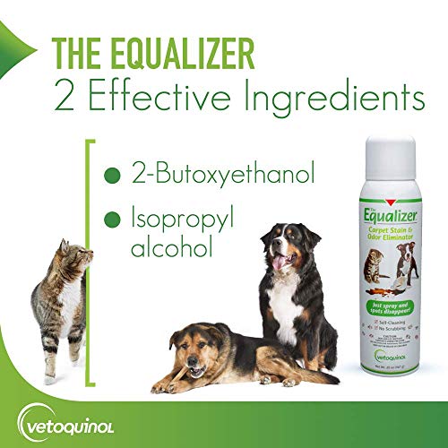 Vetoquinol Equalizer Pet Carpet Cleaner, Stain Remover & Odor Eliminator, Carpet Spot Cleaner, 20oz