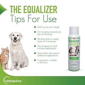 Vetoquinol Equalizer Pet Carpet Cleaner, Stain Remover & Odor Eliminator, Carpet Spot Cleaner, 20oz