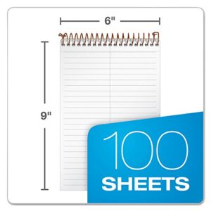 Ampad Gold Fibre Steno Book, 6" x 9", Gregg Rule, Gray Cover, 100 Sheets (20-808R)