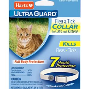 Hartz UltraGuard Flea & Tick Collar for Cats and Kittens, 7 Month Flea and Tick Protection and Prevention, White