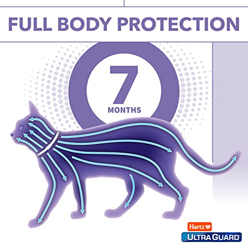 Hartz UltraGuard Flea & Tick Collar for Cats and Kittens, 7 Month Flea and Tick Protection and Prevention, White