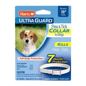 Hartz UltraGuard Flea & Tick Collar for Dogs and Puppies, 7 Month Flea and Tick Protection and Prevention Per Collar, White, Up to 20 Inch Neck