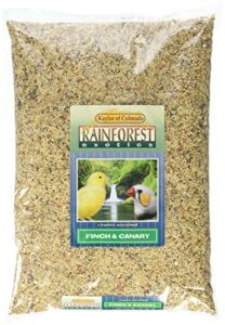 rainforest exotics canary & finch bird food, 4 lbs bag - seed mix for canaries and finches