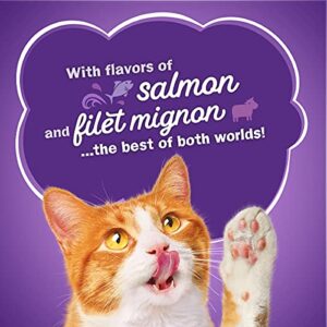 Purina Friskies Dry Cat Food, Surfin' & Turfin' Favorites - 16 lb. Bag