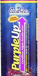 CaribSea Purple Up Algae Accelerator, 16-Ounce