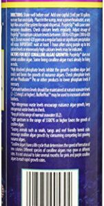 CaribSea Purple Up Algae Accelerator, 16-Ounce