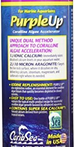 CaribSea Purple Up Algae Accelerator, 16-Ounce