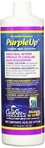 CaribSea Purple Up Algae Accelerator, 16-Ounce