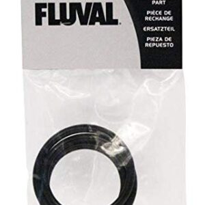Fluval 104, 105, 204, 205, 106, 206 Replacement Motor Seal Ring (A20038)