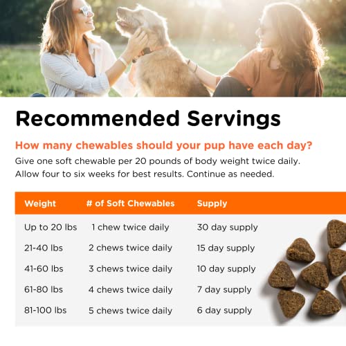 Nutri-Vet Shed Defense Soft Chews for Dogs - Supports Normal Shedding and Healthy Coat - 60 Soft Chews