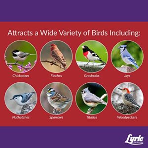 Lyric Delite Wild Bird Seed - No Waste Bird Food Mix with Shell-Free Nuts & Seeds - Attracts Buntings, Chickadees & Finches - 20 lb bag