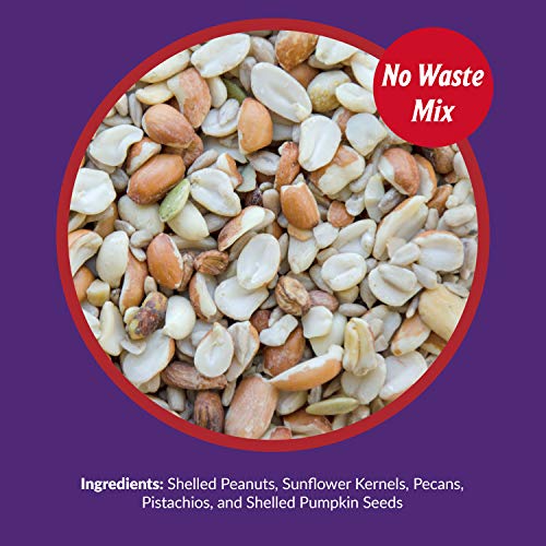 Lyric Delite Wild Bird Seed - No Waste Bird Food Mix with Shell-Free Nuts & Seeds - Attracts Buntings, Chickadees & Finches - 20 lb bag