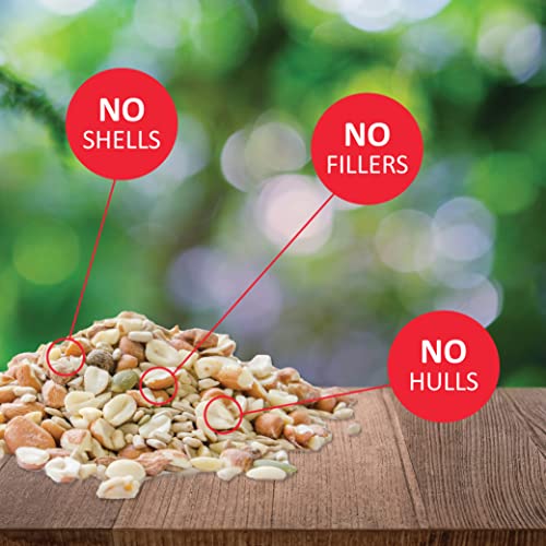 Lyric Delite Wild Bird Seed - No Waste Bird Food Mix with Shell-Free Nuts & Seeds - Attracts Buntings, Chickadees & Finches - 20 lb bag