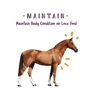 Manna Pro Corp 1000082 Opti-Zyme Microbial Digestive Supplement for Horse, 3-Pound