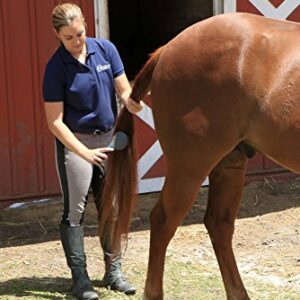 Oster Equine Care Series 7-Piece Horse Grooming Kit