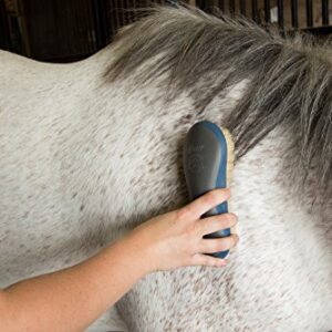 Oster Equine Care Series 7-Piece Horse Grooming Kit