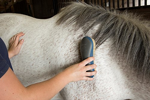 Oster Equine Care Series 7-Piece Horse Grooming Kit