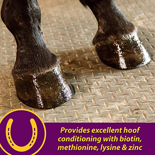 Horse Health Joint Combo Hoof & Coat, Convenient 3-in-1 horse joint supplement provides complete joint, hoof and coat care, 3.75 lbs., 30 day supply