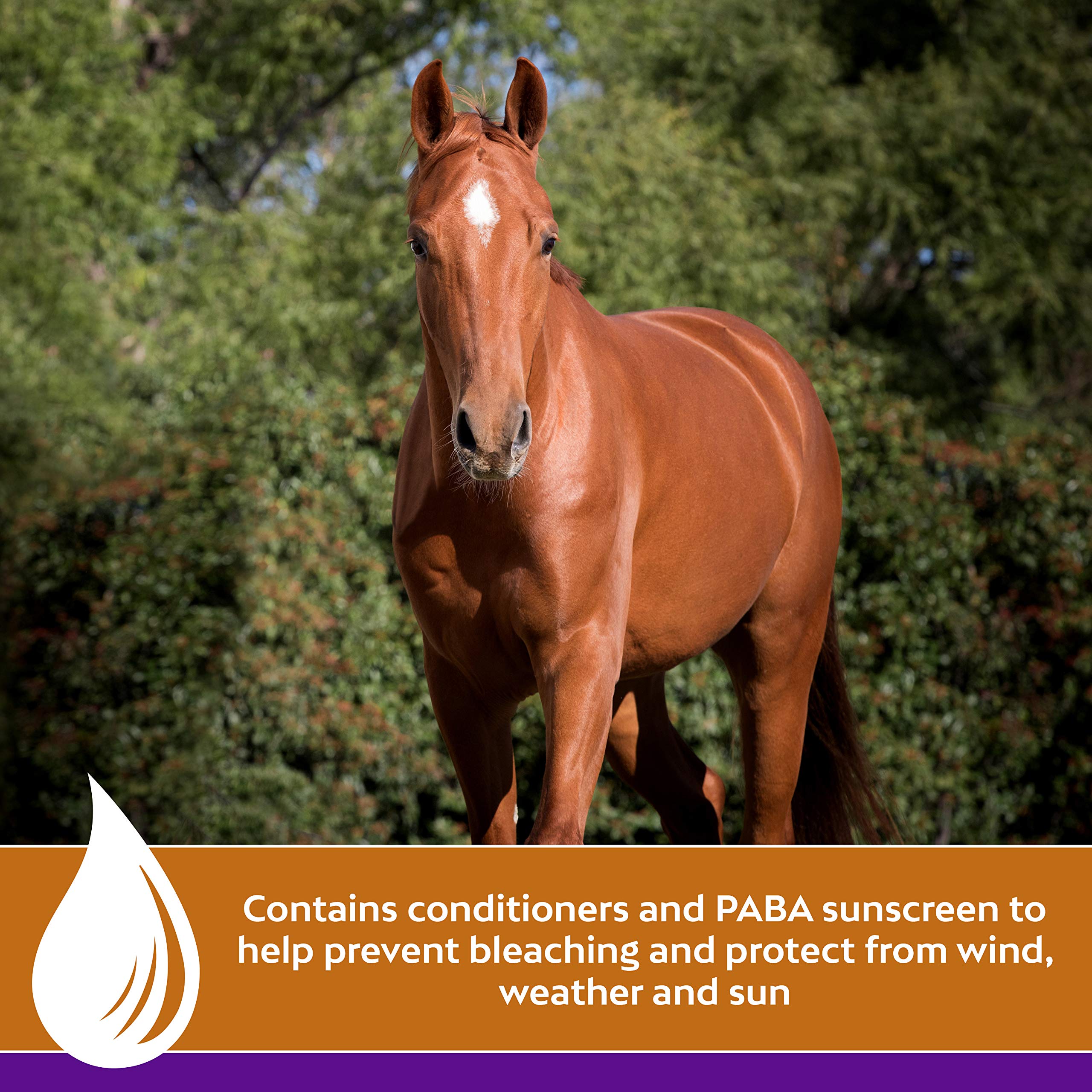 Farnam Vetrolin Shine Coat Conditioner & Shine Spray for Horses & Dogs 64 Ounces