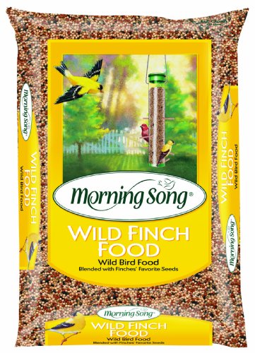 Morning Song 12005 Wild Finch Wild Bird Food Bag, 8-Pound