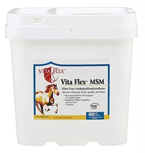 vita flex msm 10lb