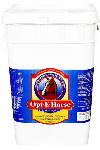 RJ matthews Opt-E-Horse Complete 3 lb