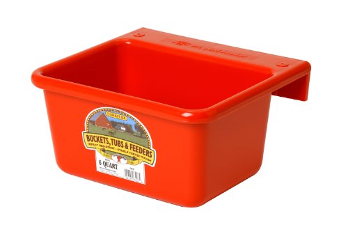 Little Giant® Plastic Mini Feeder | Fence Feeder | Goat Feeder | Durable & Mountable Bucket for Livestock | Made in USA | 6 Quart | Red