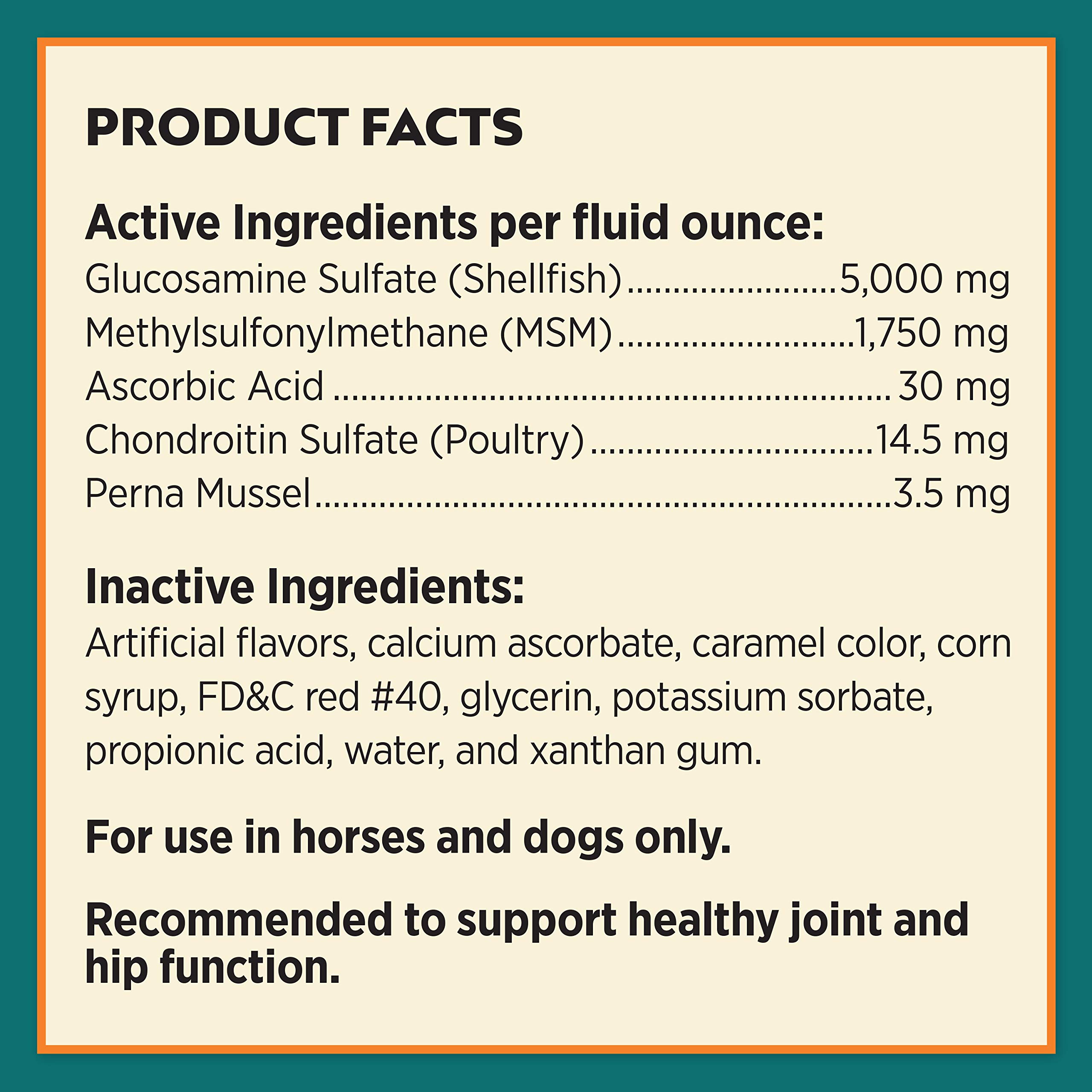 Farnam Next Level Joint Fluid Supplement for horses and dogs, Helps maintain connective tissue to ease joint stiffness due to daily activity, 16 ounces, 16 day supply