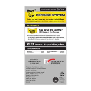 Raid Wasp & Hornet Killer Spray, Kills the entire nest, Kills Paper Wasps, Yellow Jackets, Mud Daubers and more, 14 oz (Pack of 2)