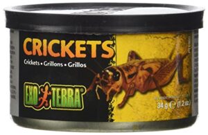 exo terra specialty reptile food, canned crickets for reptiles, pt1960