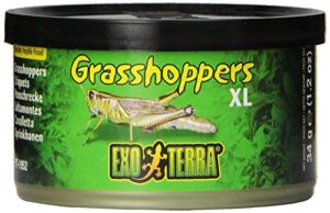exo terra specialty reptile food, canned xl grasshoppers for reptiles, pt1952