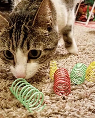 SPOT Ethical Products Ethical Wide Colorful Springs Cat Toy, Medium Breeds