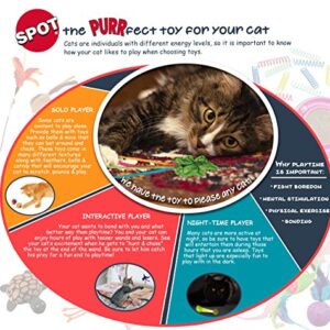 SPOT Ethical Products Ethical Wide Colorful Springs Cat Toy, Medium Breeds