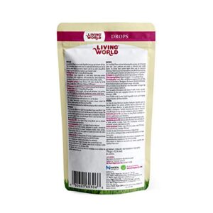 Living World Drops Hamster Treat, 2.6-Ounce, Field Berry