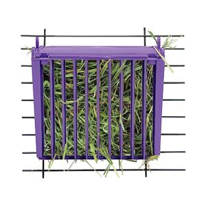 Kaytee Hay Buffet With Snap-Lock Lid