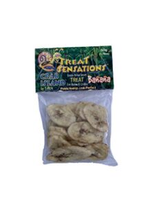 t-rex hermit crab food - banana treat