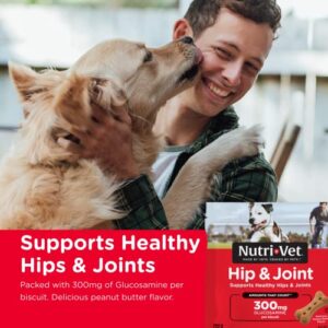 Nutri-Vet Hip & Joint Biscuits for Dogs - Tasty Dog Glucosamine Treat & Dog Joint Supplement - Large Sized Biscuit with 300mg Glucosamine - 6 lb