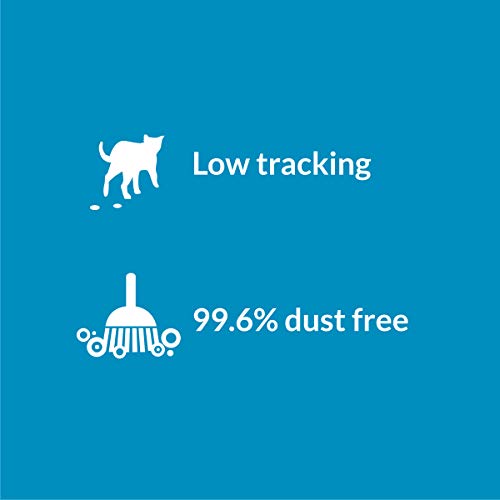 Purina Tidy Cats Non Clumping Cat Litter, Instant Action Low Tracking Cat Litter - 30 lb. Bag