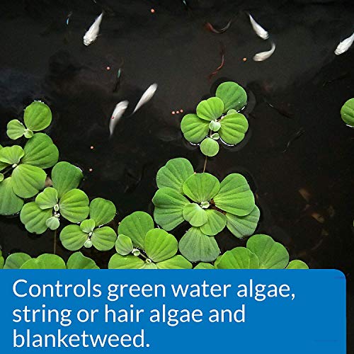 API POND ALGAEFIX Algae control 2.5-Gallon Bottle