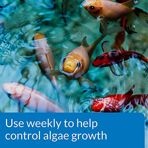 API POND ALGAEFIX Algae control 2.5-Gallon Bottle