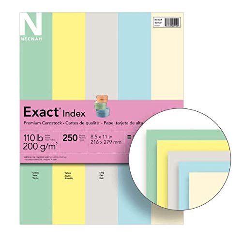 Neenah Wausau Exact Index Cardstock, 110 lb, 8.5 x 11 Inches, 5 Color Pastel Assortment, 250 Sheets (48990), Green, Canary, Gray, Blue & Ivory