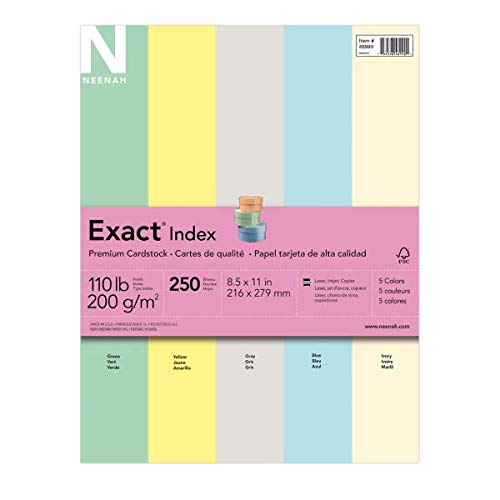 Neenah Wausau Exact Index Cardstock, 110 lb, 8.5 x 11 Inches, 5 Color Pastel Assortment, 250 Sheets (48990), Green, Canary, Gray, Blue & Ivory