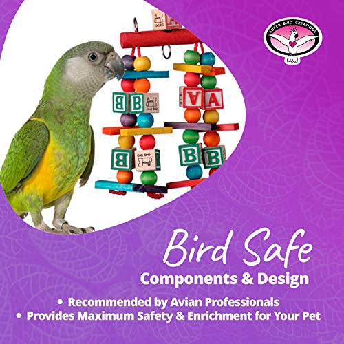 Super Bird Creations SB448 Katy's ABC Jr. Bird Toy, Medium Bird Size, 7" x 5" x 1.5"