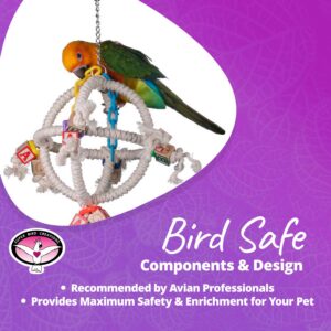 Super Bird Creations SB445 Fun Round Swinging Orbiter Bird Toy, Small To Medium Size, 14” x 10”, Varies