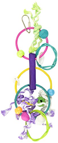 Prevue Hendryx Stick Staxs Rings in Things Bird Toy (Model: 62426)