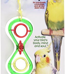 JW Pet Company Activitoys Hour Glass Mirror Bird Toy