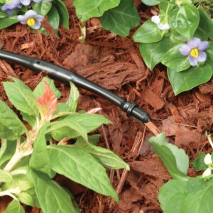 Rain Bird TP25/10PS Drip Irrigation 1/4" Tubing End Closure, 1/2" Tubing "Goof” Plug, 10-Pack