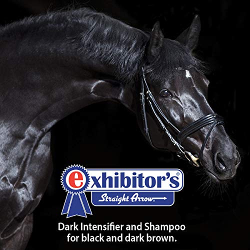 exhibitor's Quic Black Shampoo 16 Ounce Color Enhancing For Dark Coats (321266)